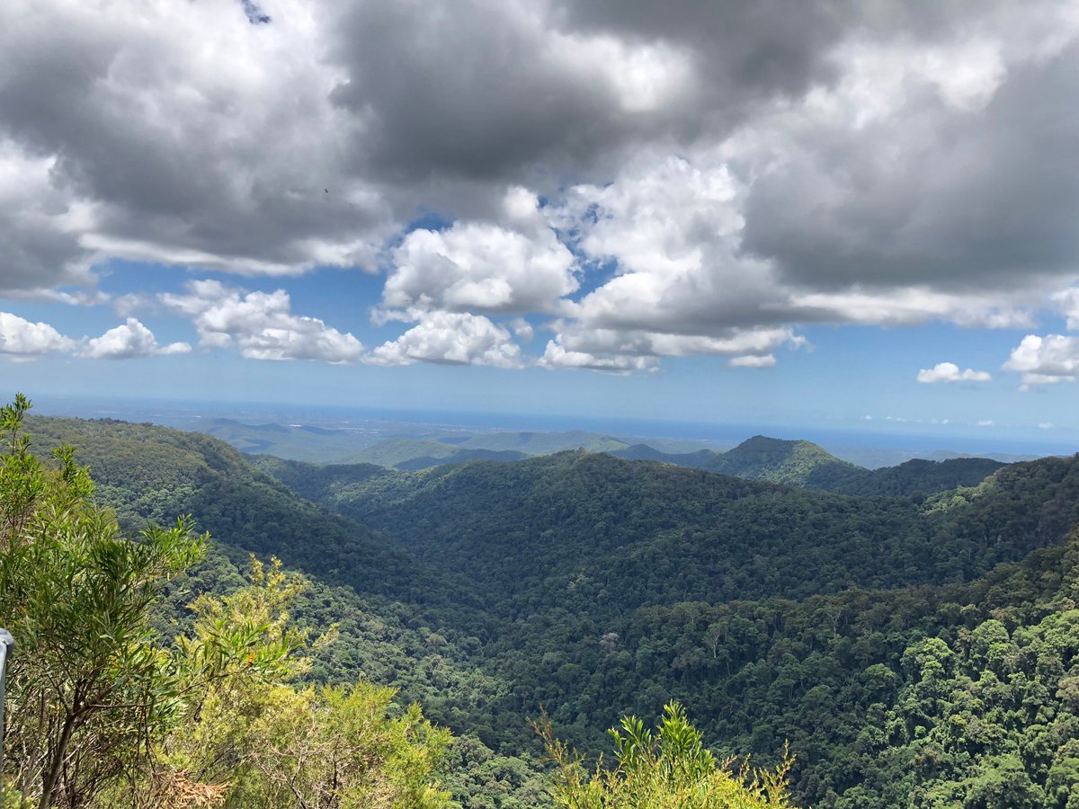 AustraliaPics's tweet photo. Beautiful and picturesque #MountTamborine #Queensland #Australia #ScenicRim
#MountainRange #GoldCoastHinterland #Rainforest https://t.co/8CPkMHwgTa