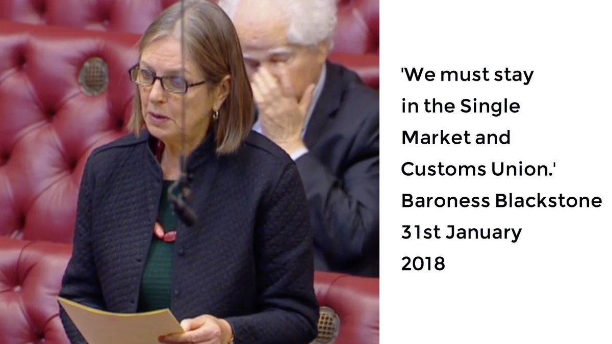 HOL_EUWatch's tweet photo. Pro #EU & @uklabour Peer Baroness Blackstone has just confirmed to the House of Lords during the #Brexit Bill debate that she wants the #UK to remain in the Single Market & Customs union and will be trying to seek amendments to do so. #BrexitLords https://t.co/6pGCfeDIHs