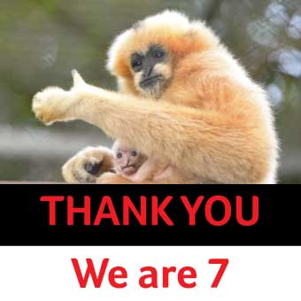 PappframesRF's tweet image. Another year of rainforest draws to an end, so what better time to say a huge thank you to all of our clients, without whom we wouldn&apos;t be here.
