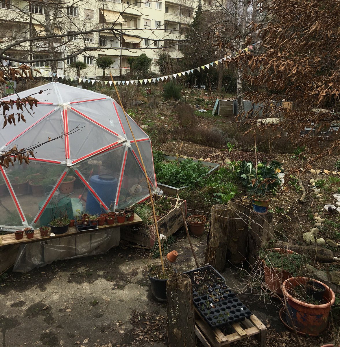MathieuFumex's tweet photo. À Bâle aussi, les habitants laissent de la place pour l’ #agricultureurbaine !@MySwitzerland_f https://t.co/TLcdTOPuMD