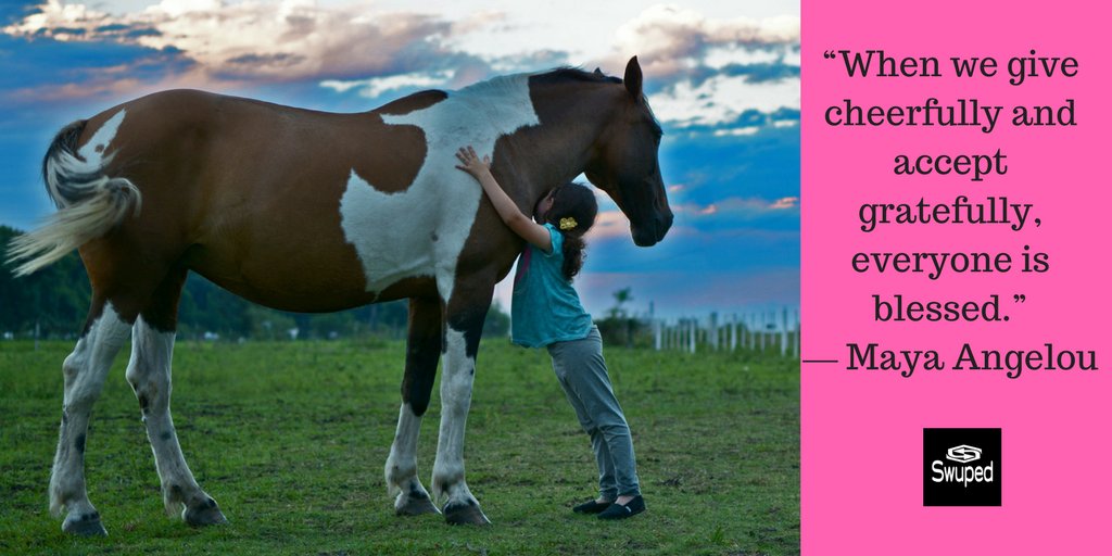 “When we give cheerfully and accept gratefully, everyone is blessed.” 
― Maya Angelou
#WednesdayWisdom #BeKind #KindnessMatters #Horses #equestrian #grateful #blessed