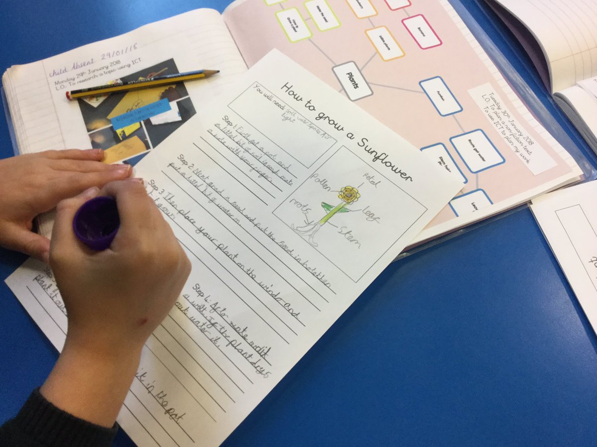 EPSMissMHardy's tweet photo. Y3 starting their #Plants #informationbooklets this morning, using their @poppletny plans from yesterday. #instructions #factsnotopinions #greatwork 👍🏼🌿🌟@Gaynor_Spence @Eastfield_EN3 https://t.co/2loidYEBp6