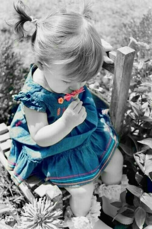 Coeur_Turquoise's tweet photo. Bonjour 💙 

Quand la tête est pleine de belles pensées 
Le coeur y est toujours pour quelque chose.

#PenseeDuJour 

#ligue_des_optimistes https://t.co/IQhvusOtQW