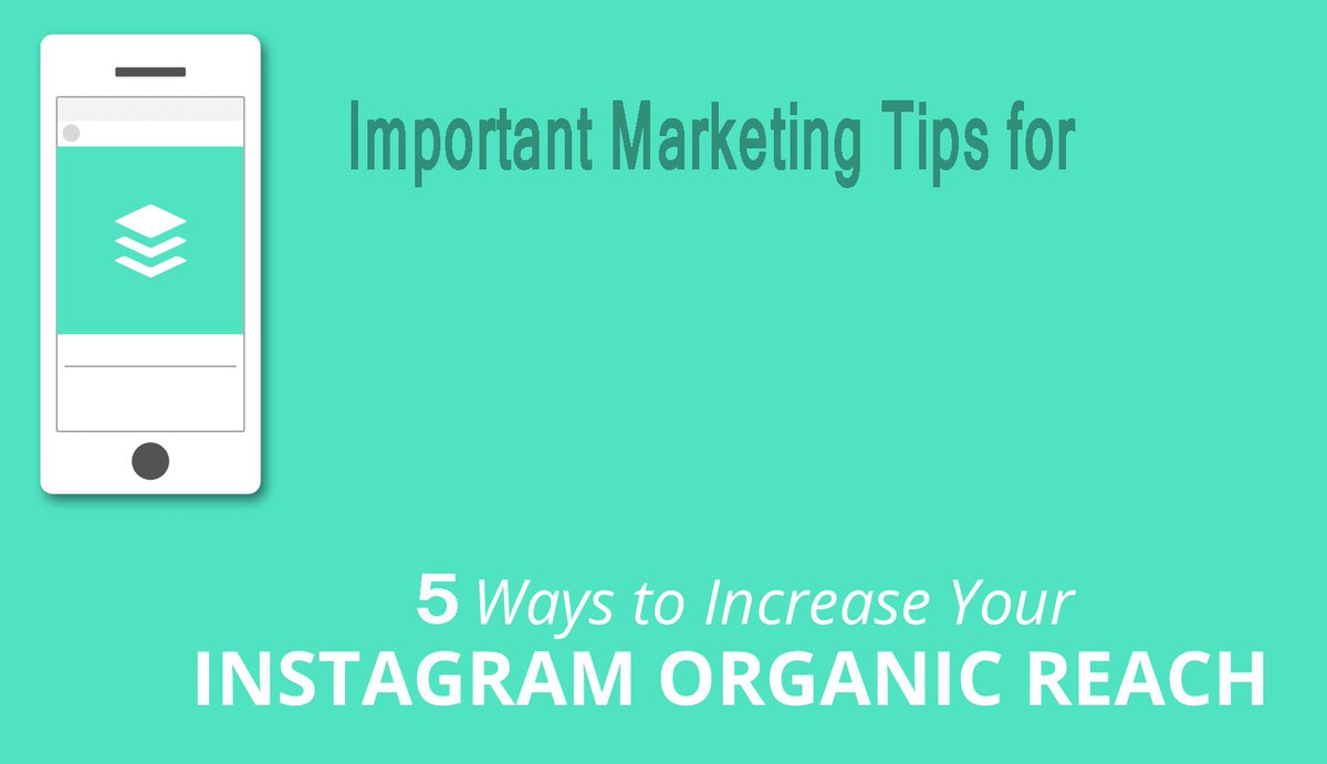 Salernoese's tweet photo. Ultimate Guide to #Instagram #Marketing for Fitness Professionals
https://t.co/6KMjsg6NhK

#socialmediamarketing #InstagramFollowers #InstagramLikes #InstagramBusiness #SeoMarketing #instagramposts https://t.co/pMZiyBks5F
