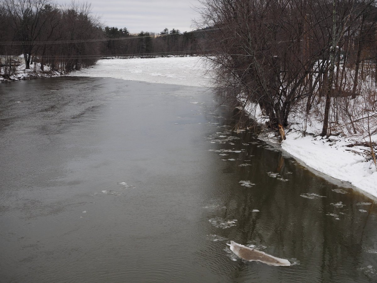 SwbaileyFs's tweet photo. After 3 ice jam floods in the last year, pre-conditions are building for another one on the Pemigewasset River, Plymouth https://t.co/V3mDOfFUae