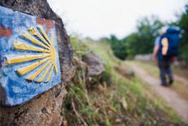 TodoDestinos's tweet photo. #CaminodeSantiago organizado  parejas, familias, grupos, amigos, colectivos, viajar sol@, informate en #Viajitos https://t.co/1ShWgQ4Tq0 https://t.co/4LRreI2HYU