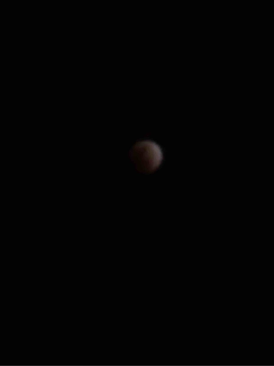 manx825's tweet photo. iPhoneのカメラではこれが限界 https://t.co/8nM4QcvHTU