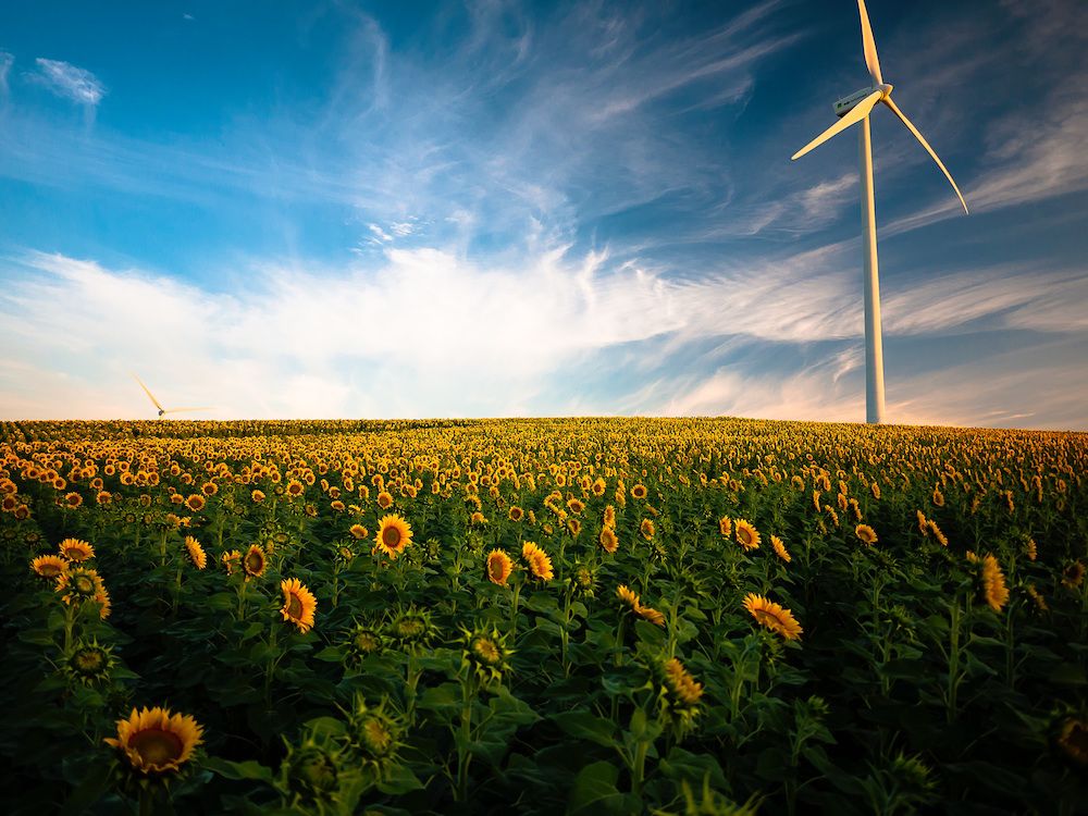 Thinking_Review's tweet photo. LAS RENOVABLES ACELERAN SIN RUIDO, interesante artículo de @thinkig_review #energia #renovables #medioambiente #tecnología #innovación https://t.co/7cjFJSdAO1 https://t.co/MKvfqWwUM2