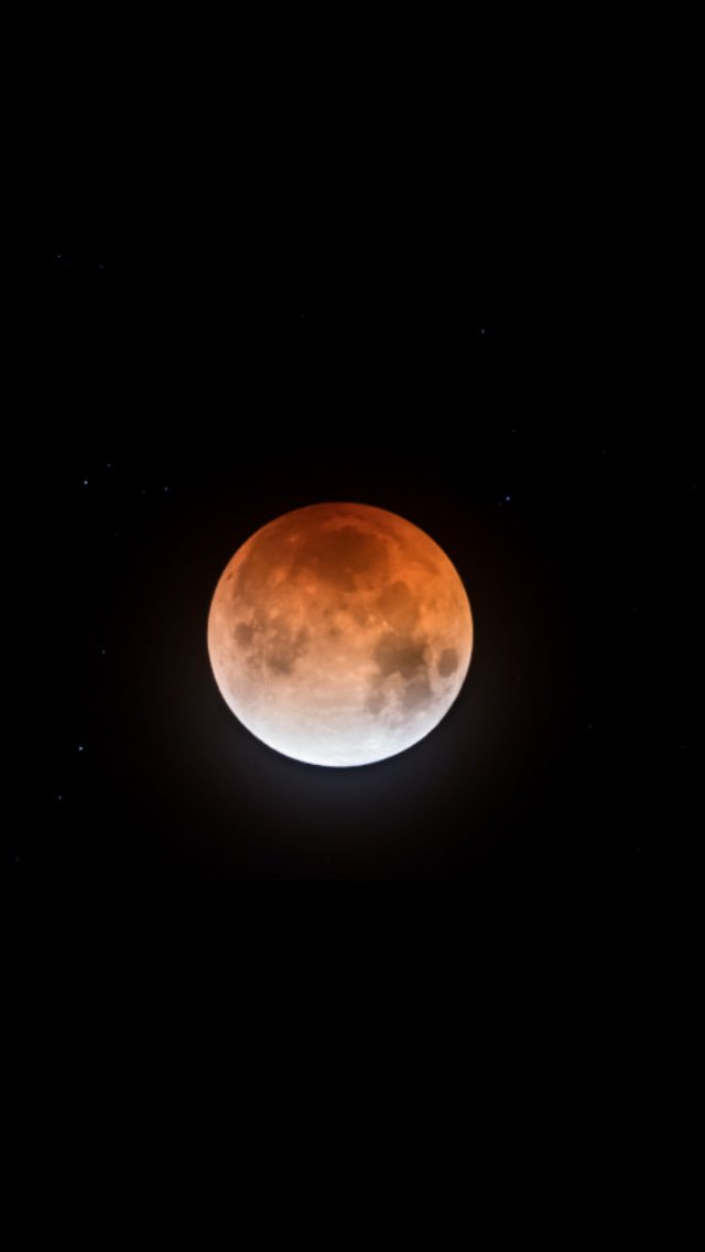 JohnMDouglass1's tweet photo. Beautiful! Pic by Bob Wick #SuperMoon #outdoors https://t.co/MCGv7ZkjWI