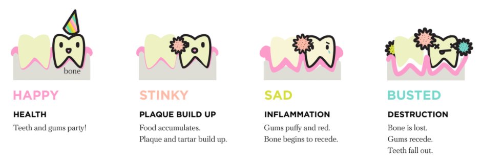 meetcocolab's tweet photo. Avoid a sad and stinky mouth by #cocoflossing daily! To learn more on keeping your  #teeth4lyfe, check out The Gum Guide! https://t.co/GE1yuKznKV https://t.co/K409AW5BGu