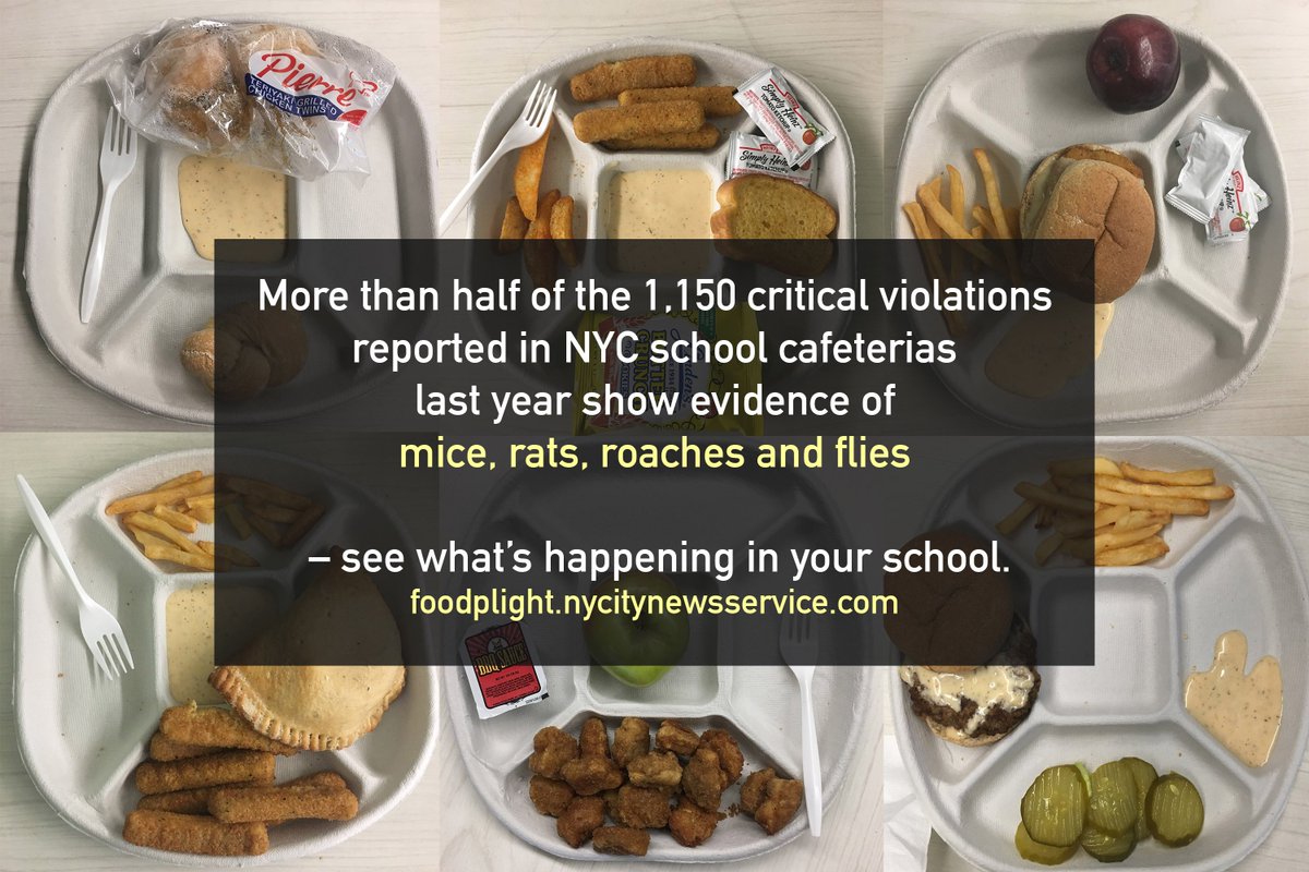 Newmark J-School (@newmarkjschool) on Twitter photo .<a href="/nycitynews/">nycitynews</a> investigation found that nearly 700 New York City school cafeterias are potential breeding grounds for foodborne illnesses.
foodplight.nycitynewsservice.com #CUNYJSchool .<a href="/nycitynews/">nycitynews</a> investigation found that nearly 700 New York City school cafeterias are potential breeding grounds for foodborne illnesses.
foodplight.nycitynewsservice.com #CUNYJSchool