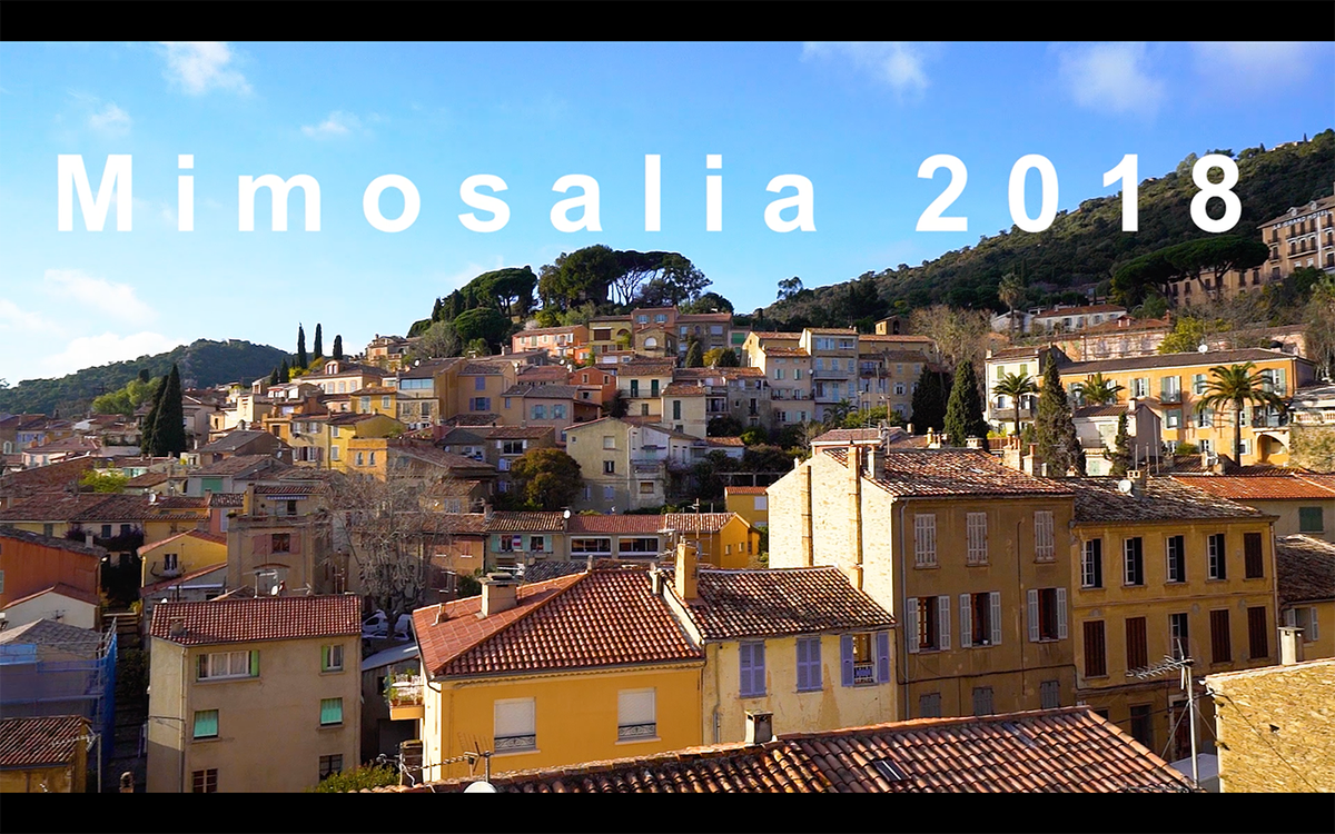 sr_prod's tweet photo. Mimosalia 2018 sous le soleil! 
https://t.co/Rs57hbdBFa
#BormesLesMimosas #Mimosalia2018 
@bormestourisme https://t.co/nzhpIeXoCF