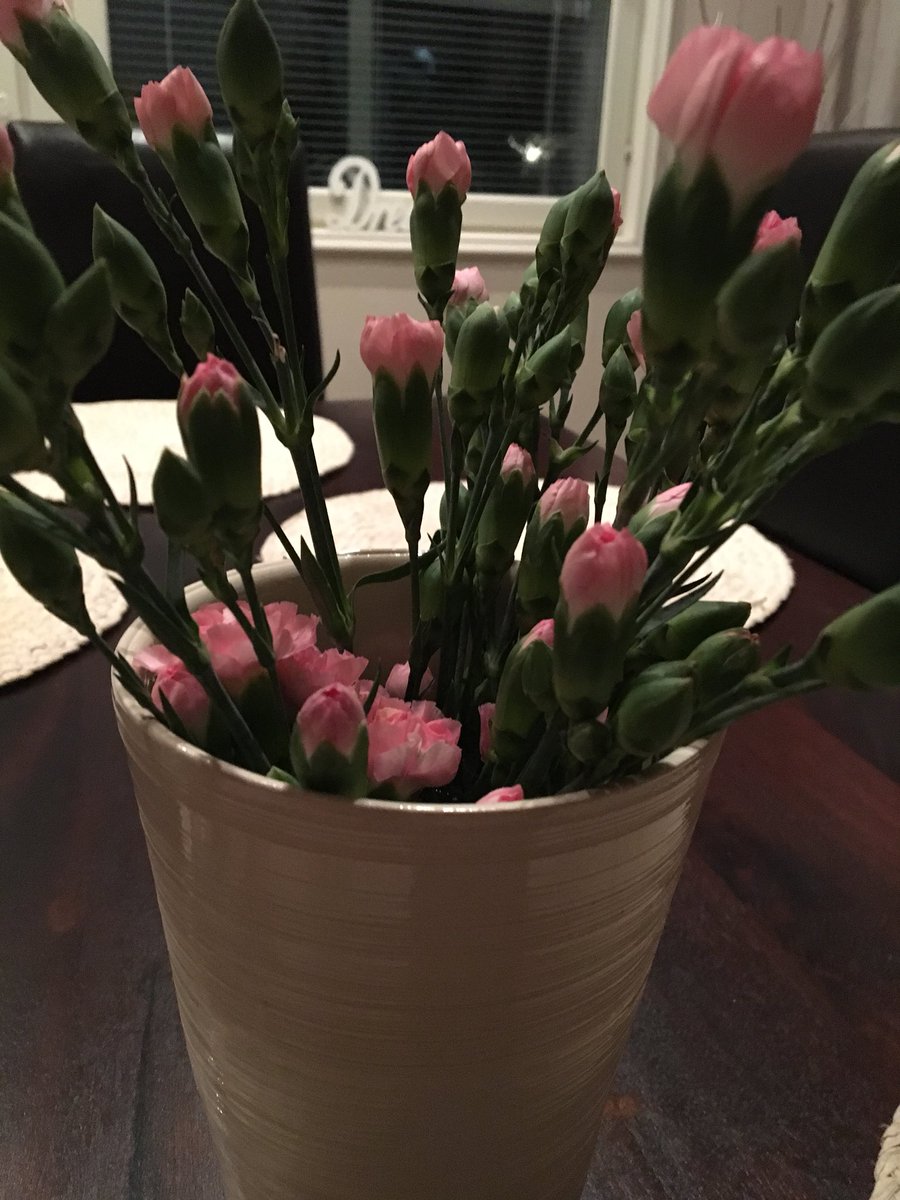 eeva_annika's tweet photo. #kukkia itselle #siivouskukat #sanosekukkasin #neilikat #kaunistakotiin #siivouspäivä #puhdaskoti #hyvämieli #puhdastuoksu #raikkaatpetivaatteet #pakkassää #siivoussää https://t.co/HTU5NmP0AC