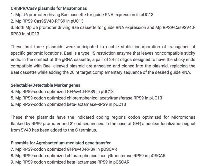 ProtGgroup's tweet photo. Plasmid DNAs designed for expression in Micromonas CCMP1545, now available for everyone trying to transform into Micromonas. https://t.co/E4JA9y8gul https://t.co/TY8Np5UWha