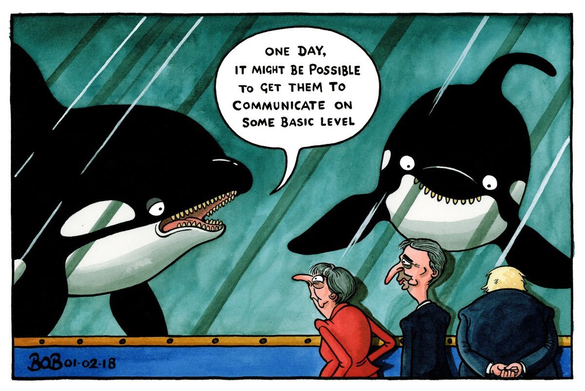 Bob Moran on news of the talking killer whale - political cartoon gallery  in Putney, image size:1200x802