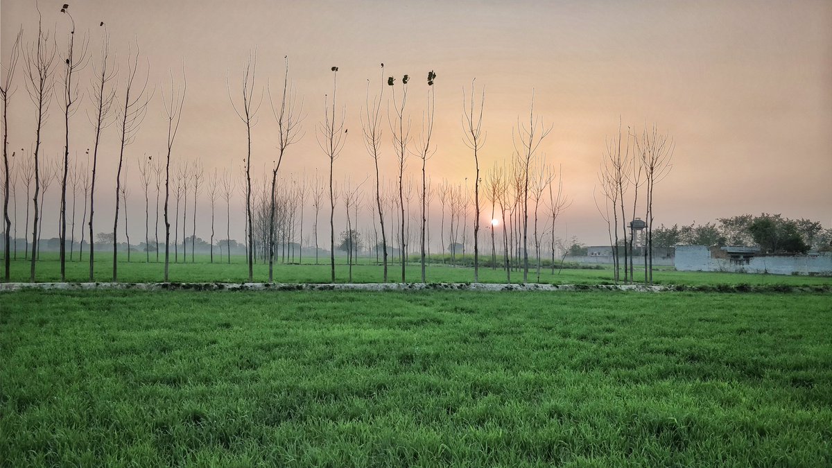 ik9red's tweet photo. Village. https://t.co/BDTSq9iZbw