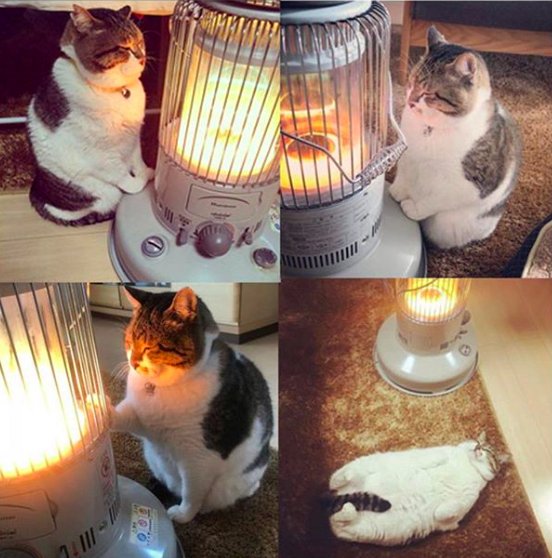 Идеальный план на остаток зимы (via <a href="/kassyapple/">Kassy</a>)