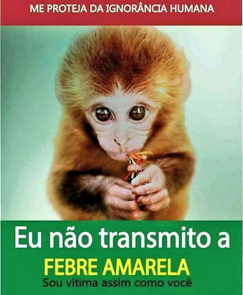 Brasil 📣📣📣

Vamos parar de tanta ignorância!!!!
O transmissor da febre amarela é o mosquito!

#BetaAjudaBeta
#BetaQuerLab
#information
#FebreAmarela
#BetaSegueBeta