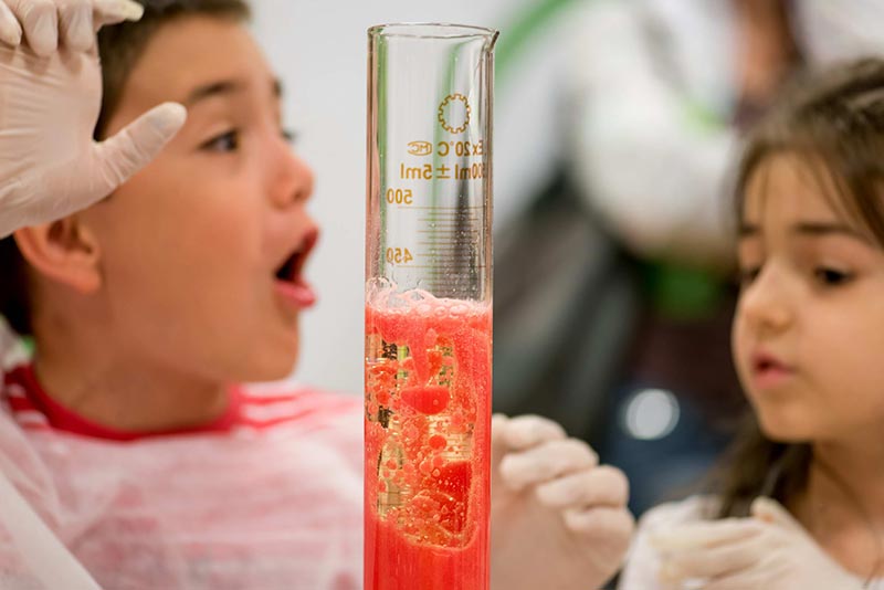 All over the world, children are fascinated by the world of science - and in #BayLab, we bring that science to life. Learn more: baylab.bayer.com

#aglearn #STEMed #edchat