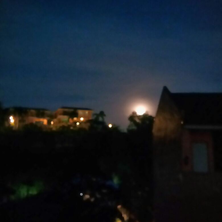 AbvieM's tweet photo. #TheSuperBlueBloodMoon 😍 https://t.co/UYckENja9O