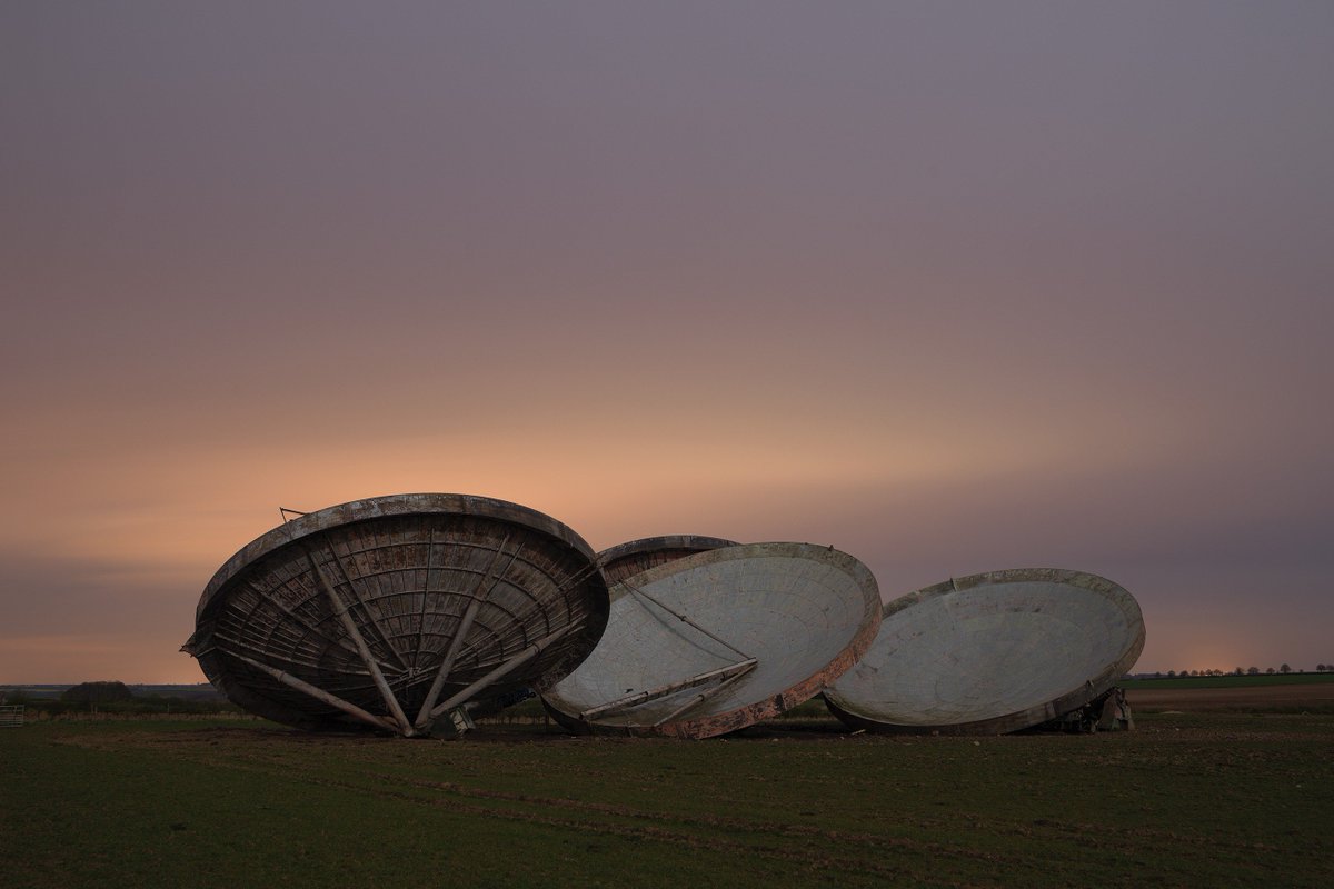 Black Dog Represents tweet media