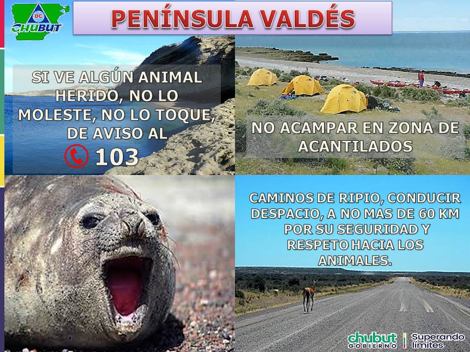 Defensa Civil Chubut tweet media