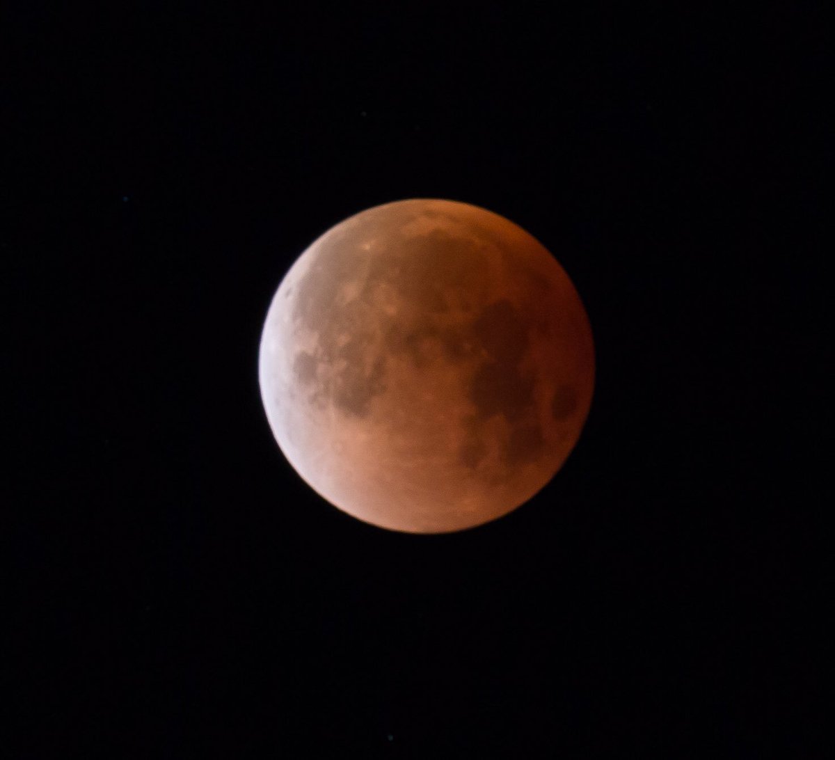 dspitz's tweet image. Super Blue Blood Moon!