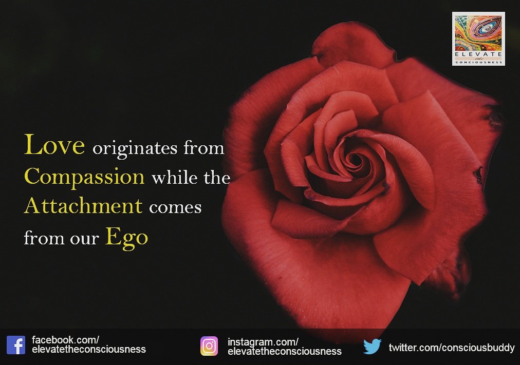 ConsciousBuddy's tweet photo. #love #compassion #quote https://t.co/vODh8uF3lW
