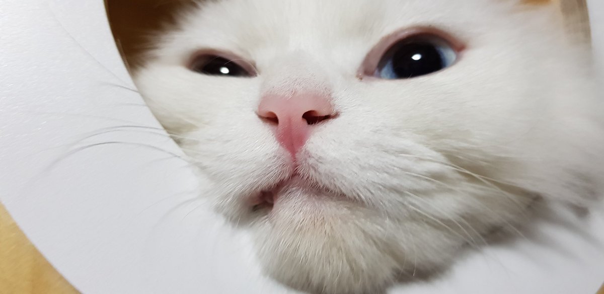 세상에 ㅇ이렇게 귀여워서 엄마는 죽쏘