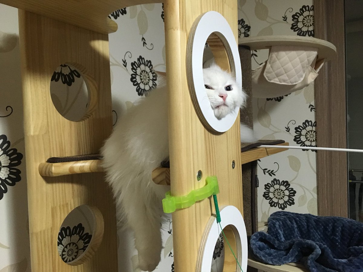 thdajswl's tweet photo. 세상에 ㅇ이렇게 귀여워서 엄마는 죽쏘 https://t.co/5s1UgkM4Fo