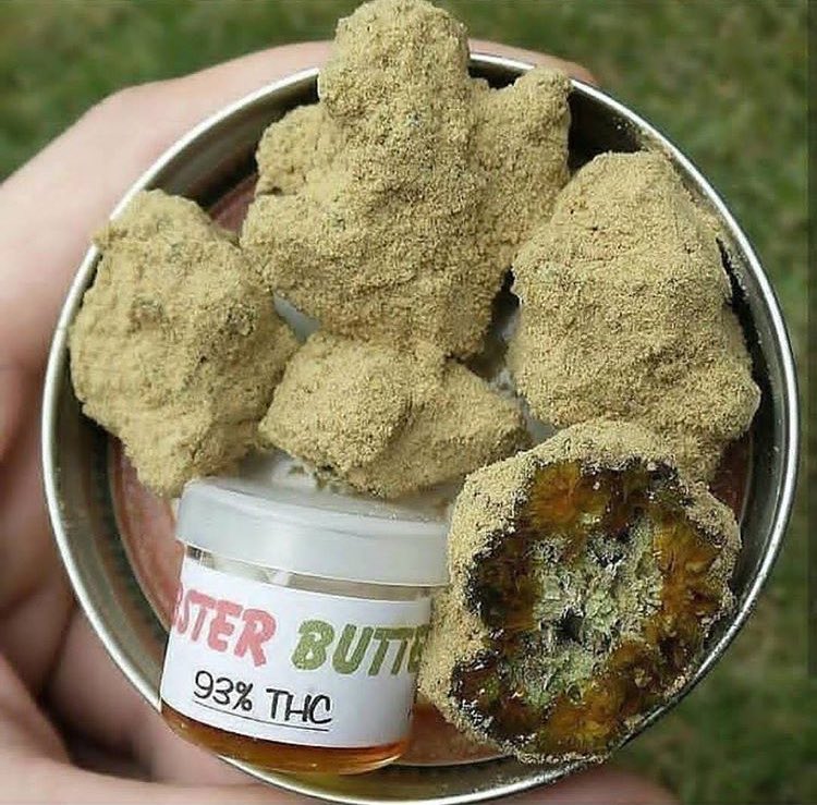 Loudgrower420's tweet photo. Moonrocks💚🤪
#cannabis  #marijuana #420blazeit  #420friendly #moonrocks #Weed https://t.co/bYoQlaRGL2