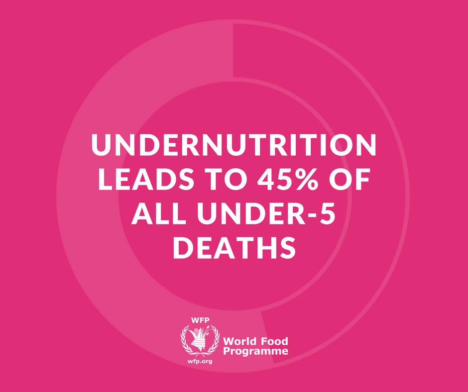 World Food Programme tweet media
