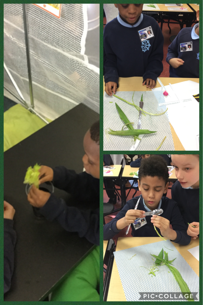 STC_6RG2021's tweet photo. We loved exploring plants this morning #stcengineers2018 https://t.co/xfckQrguob https://t.co/DjyiAiHfCS