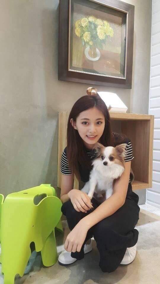 zenevamldvey's tweet photo. "fotoin gue dong sama dia, biar inget terus sama lo. hehehe." 

-Tianna Kyra, sahabat paling cantik. 

[ @tzuyuyaiya ] https://t.co/3vcr1yIyC1