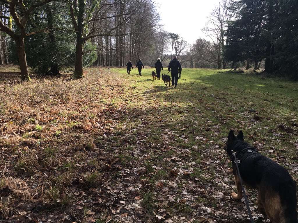 Team track for approximately 4 miles this afternoon! 👍🏼 @CotswoldsPolice <a href="/CotswoldLadyB/">Countess Bathurst</a> <a href="/PDBear1234/">RPD Olaf and PD EmmyLou</a> #teamwork #wetandcold