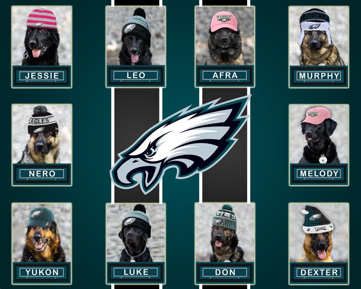 CCSOPA's tweet photo. Who’s your favorite Bird dog? Members of the Chester County Sheriff’s Office K-9 Unit predict a Super win for Philly’s underdogs. https://t.co/lNfhadS1QY