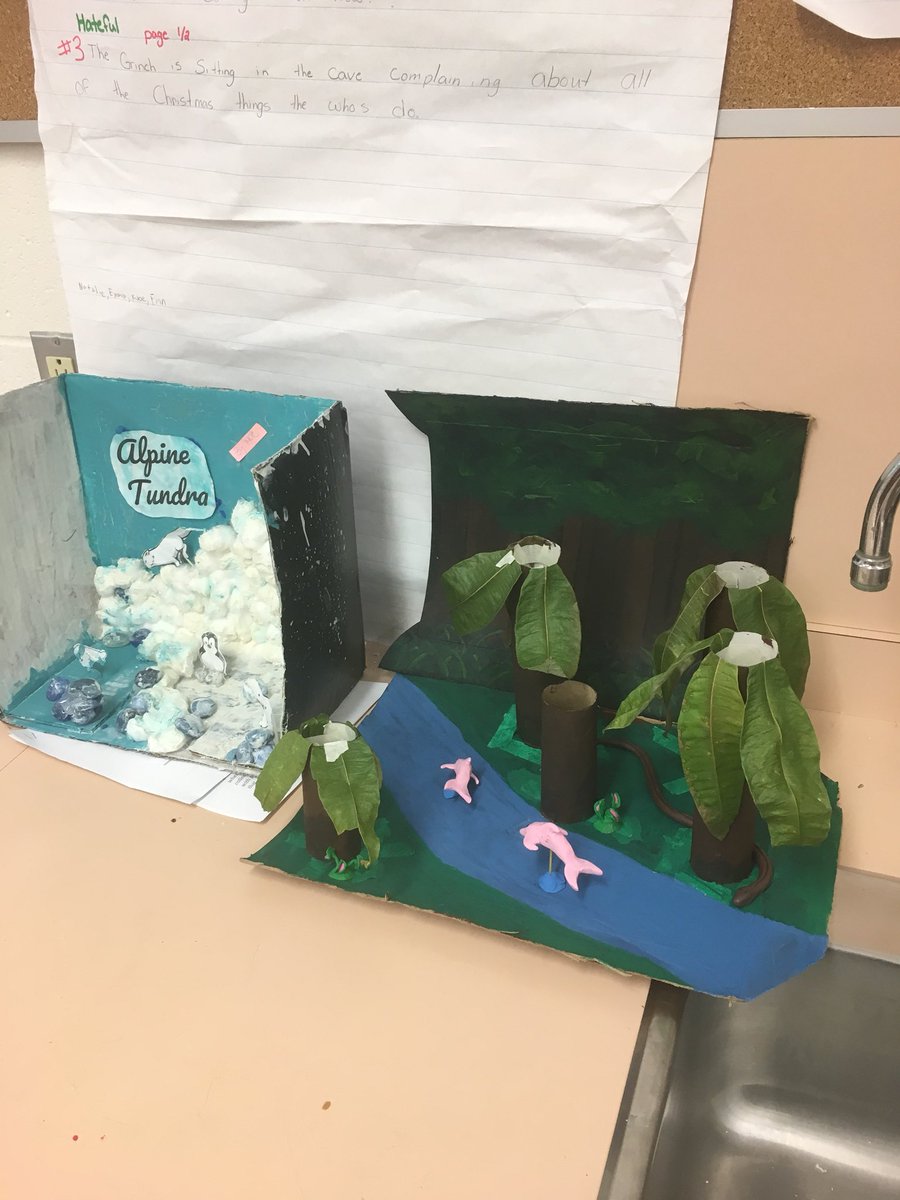 Grade 7 ecosystem projects. Lots of interesting discoveries! <a href="/RidgewoodPS/">RidgewoodPS</a>
