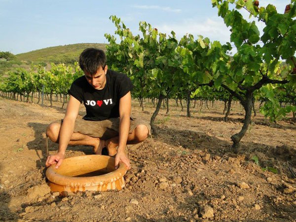 DynamicVines's tweet photo. sO eXciTinG!  #SICUS wines will be available through #dynamicvines from this February! Can't wait! #eduardpie #winesinamphoras #Catalunya #Spain #winelover #terroir #dynamicvinesrocks https://t.co/TZsyb9lDwJ