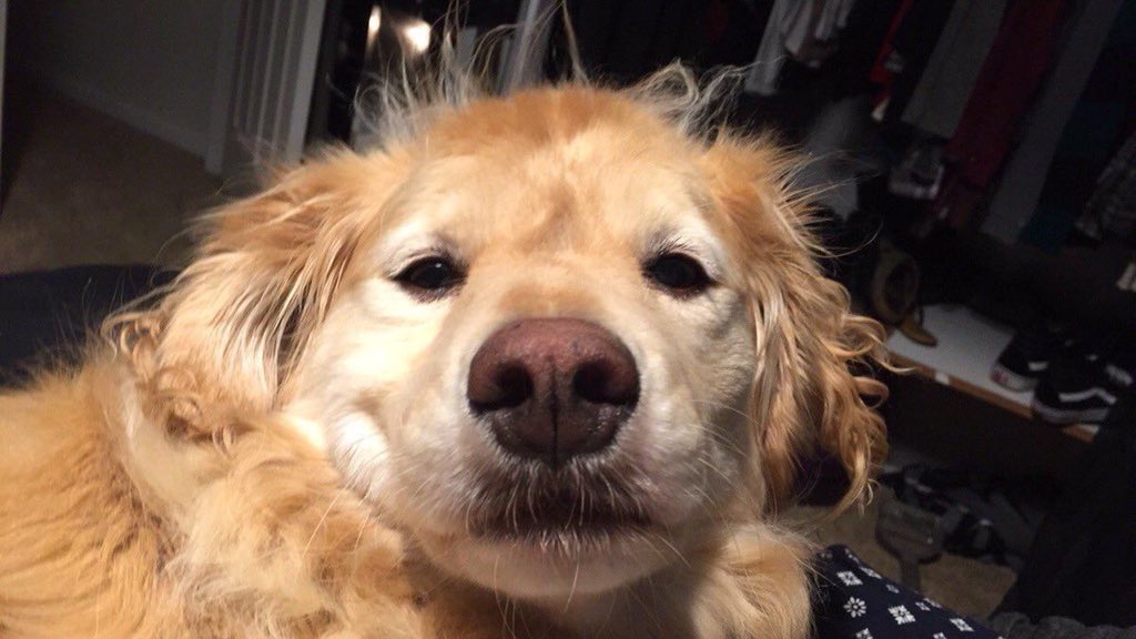 “Voy a dormir 30 minutos y después empiezo a resolver todo lo que necesito hoy”.

7 horas después*