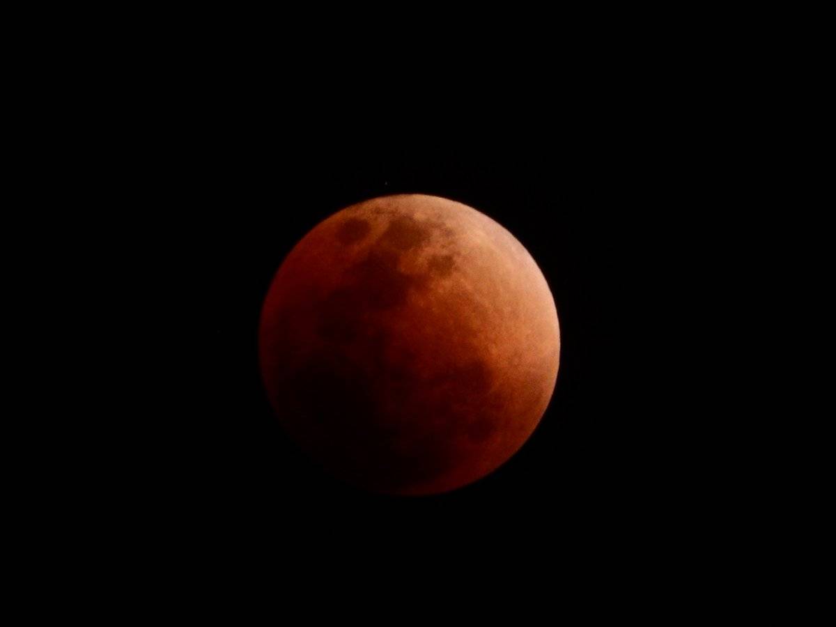 Vijay_Rules_Da's tweet photo. #SuperMoon + #BlueMoon + #BloodMoon Wow Super !
#SuperBlueBloodMoon #lunareclipse2018 #LunarEclipse #BlueBloodSuperMoon #bloodbluemoon #SuperBlueBloodMoon2018 👇👇👇
https://t.co/SUejmDQlZy https://t.co/19MKT9urZE