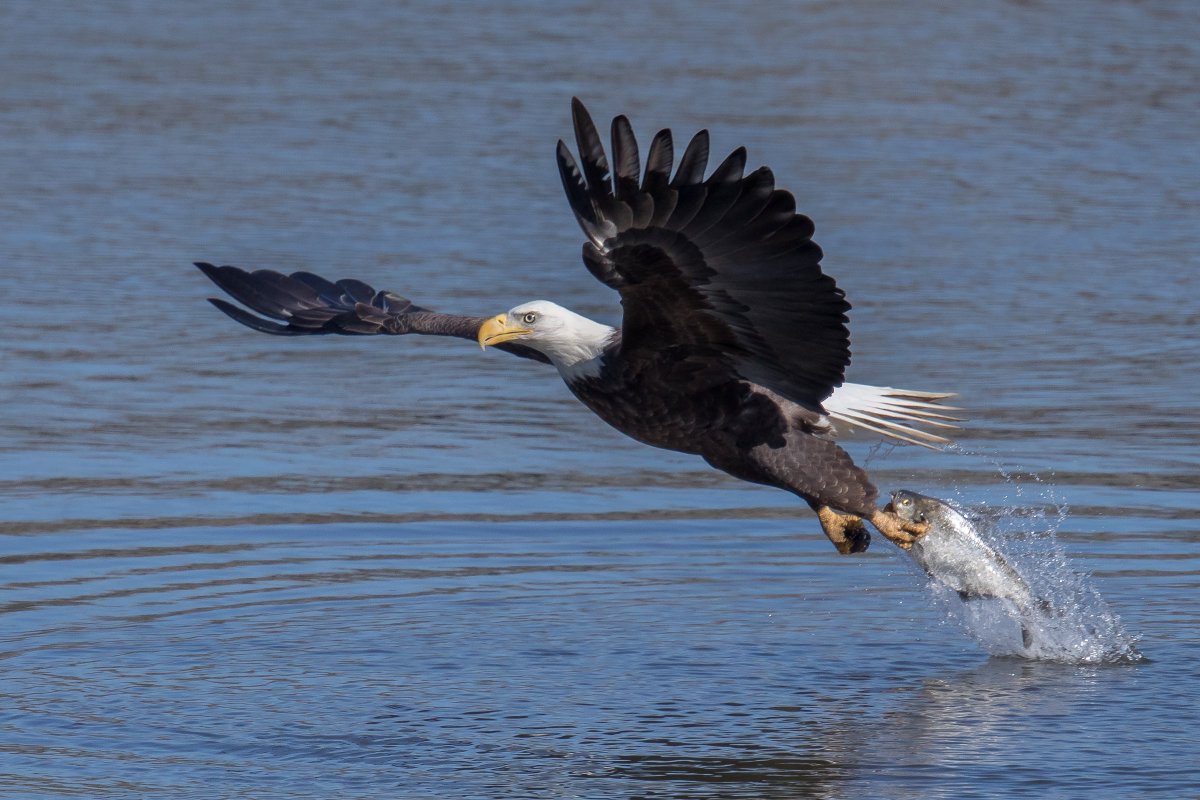 BREAKING: Sen <a href="/Rob_Bradley/">Rob Bradley</a>'s #SB370 passes unanimously, investing $100M annually in land conservation! It breathes new life into #FLForever, FL's signature land conservation program. TY Sen <a href="/Rob_Bradley/">Rob Bradley</a> for protecting FL's land/water resources.