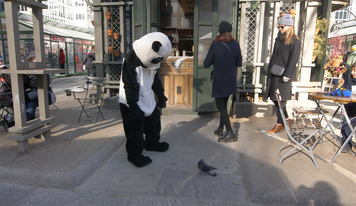 FollywoodApp's tweet photo. What did the #panda say to the #pigeon ? It' all up to  you to create the #funniest #viral #video #dub with #Follywood. Download the app today https://t.co/czluknWIbn
 and enter the #Pandamonium contest to win #crazy prizes.  #love #instagood #me #cute #photooftheday #instamood https://t.co/1VG7GrXjWo