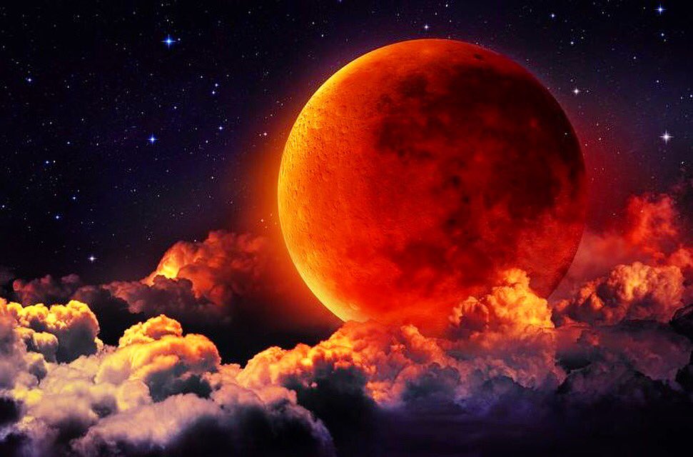 Pleiadiel tweet media