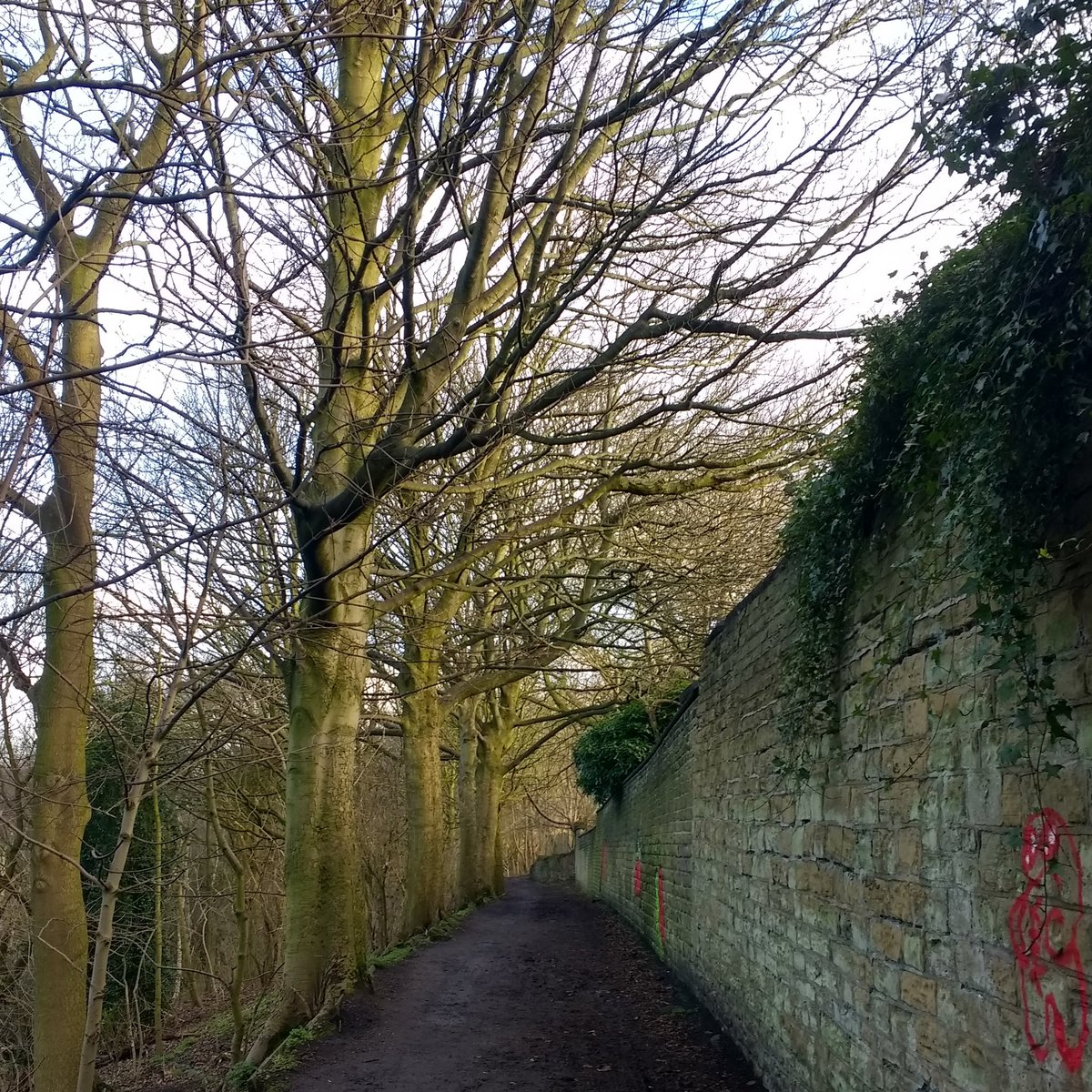 Bright and breezy day here in #headingley #Leeds today! 🌤️ Hold on to your hats! 🌬️👒🎩