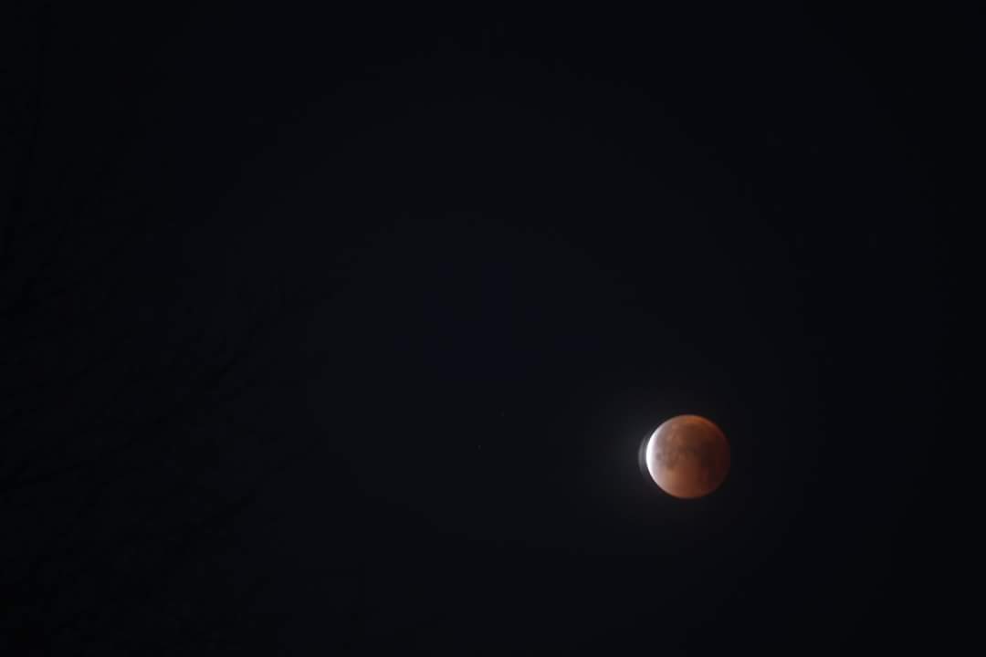 VFranksGraphics's tweet photo. #SuperBlueBloodMoon #SuperBlueBloodMoon california @apod #superbluebloodmoon2018 #elkgrove #franksfamadventures #California #amatuerphotography #photography #SuperBlueBloodMoon california #superbluebloodmoon west coast #bluemoon #bloodmoon #supermoon  @NWSSacramento @ElkGroveNews https://t.co/sbHRBU7kbo