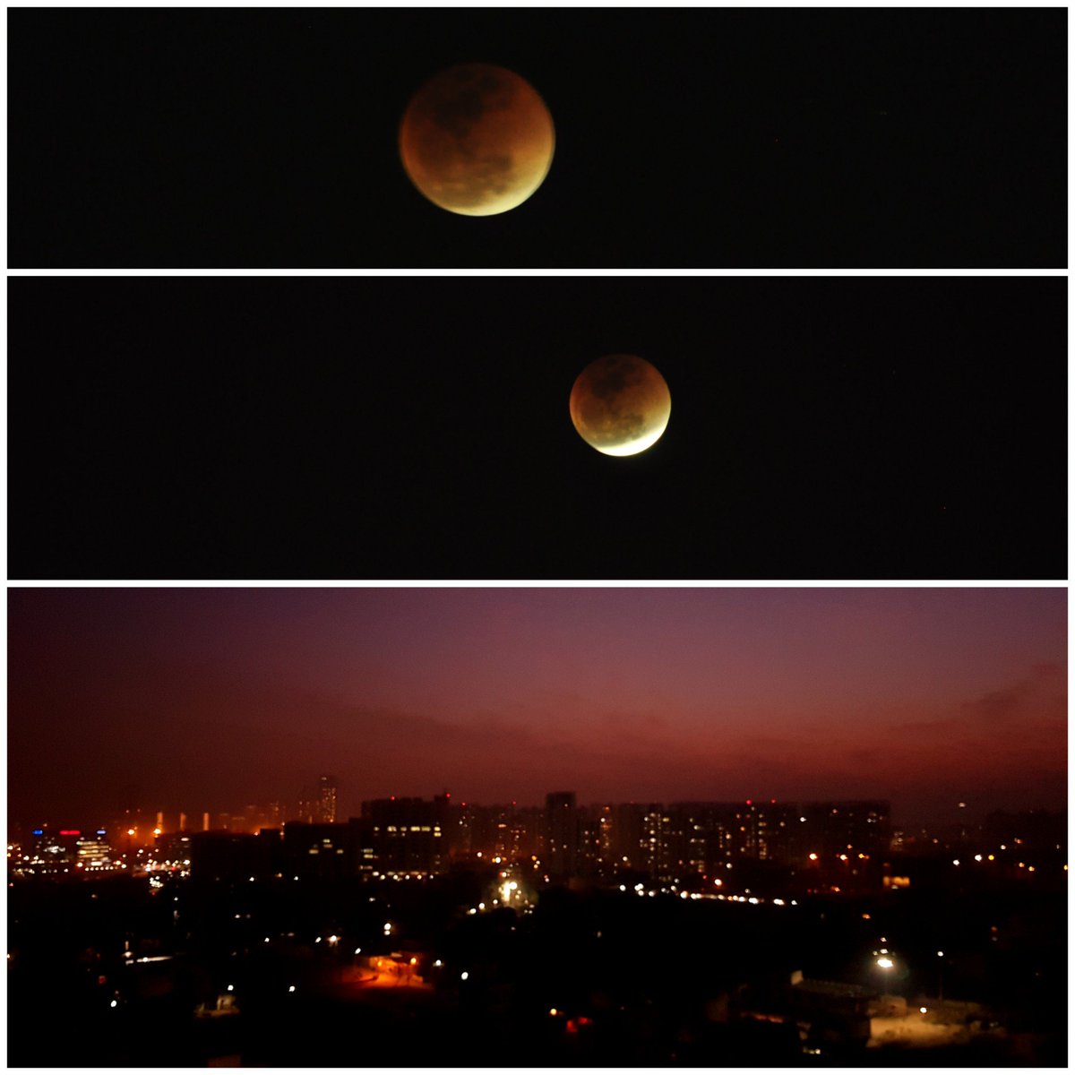 FindingRomi's tweet photo. Romi Clix @ Super Blue Blood Moon
#supermoon #superbluebloodmoon #redmoon #eclipse #moon #gurgaonskyline #gurgaondiaries #nightsky #moonphotography #moonphoto #supereclipse https://t.co/3IdBfJGkUw