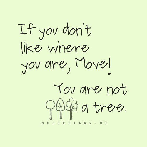 chadcmoore's tweet photo. Make like a tree, and "leaf" that rent behind... then set down your roots in your own home.

https://t.co/MCzEcfVCnO https://t.co/xo27lJ5obn