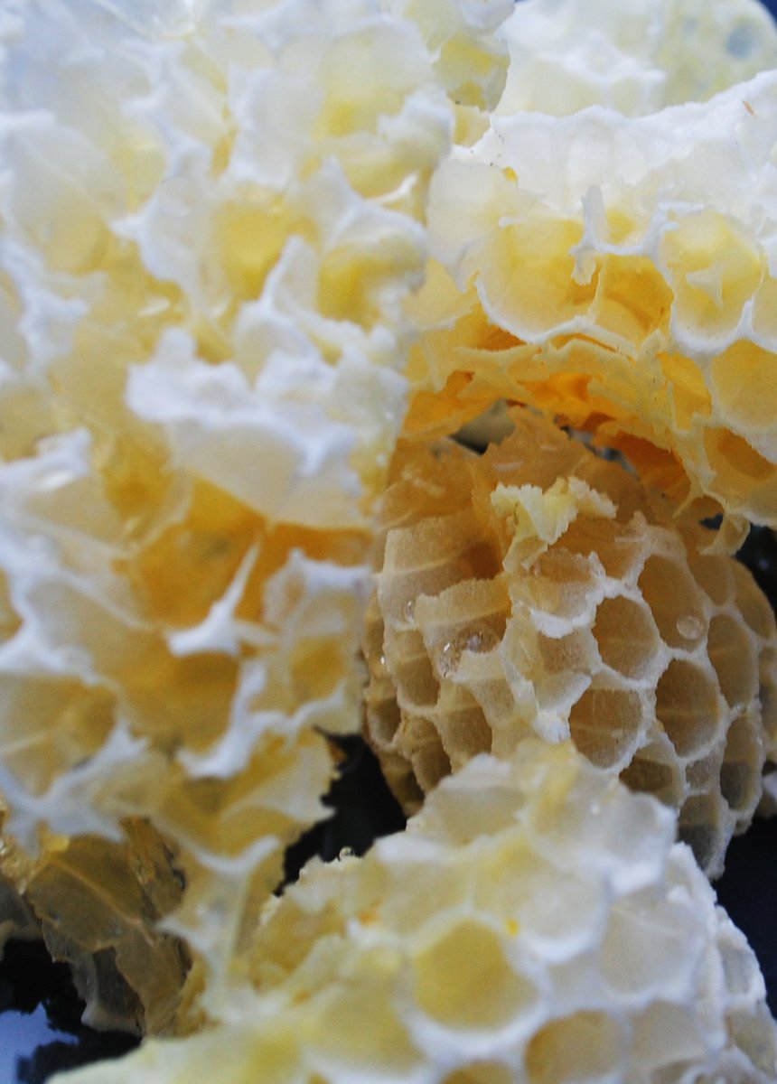 MantelFarm's tweet photo. Early Bird Discount On #Beekeeping Courses! Save 10% Our next beekeeping course is the beginners weekend on 24/25th Feb. Book any beekeeping course via our website before the end of Feb use coupon code BEE010FB at the checkout your discount will be applied https://t.co/vh4zUrSTBB https://t.co/fTgcyrH0gA