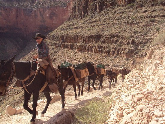 BackpackersMag's tweet image. Hiking the Grand Canyon – A Humbling Experience
@BackpackersMag #hiking #backpacking #GrandCanyon #Magazine 
backpackerstravelmagazine.com/hiking-the-gra…