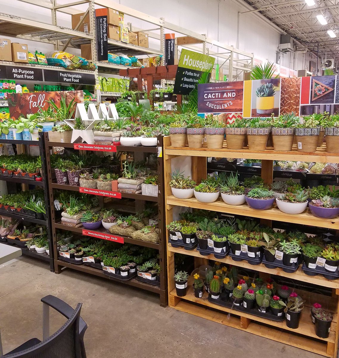 Alex_Rivera42's tweet photo. The flowers always looking beautiful at @HD6233 https://t.co/FaBqrDYeew